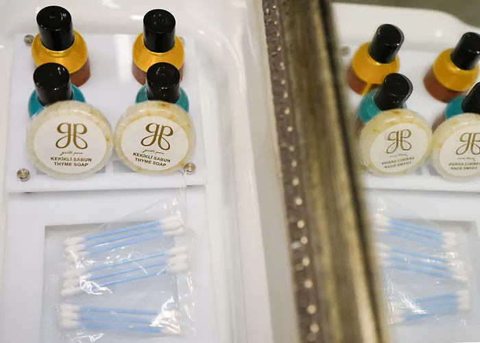 Отель Gritti Pera &