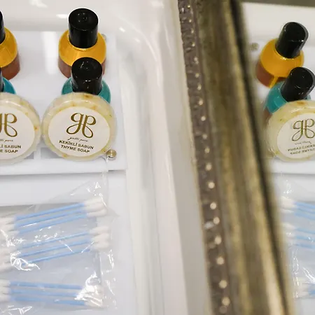 מלון Gritti Pera &